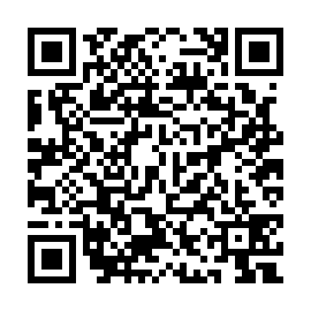 QR code for 1IRA393
