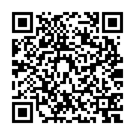 QR code for 1IRV317