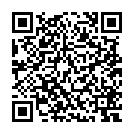 QR code for 1ISM491