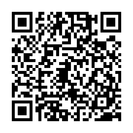 QR code for 1LIE477