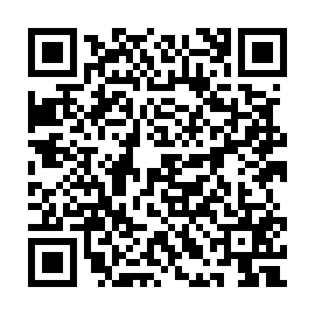 QR code for 1LIE559