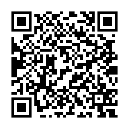 QR code for 1LSP378