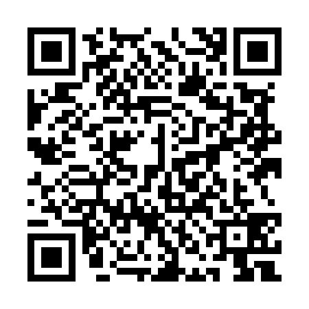 QR code for 1NIM393