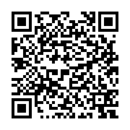 QR code for 1NSA333
