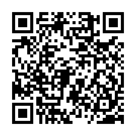 QR code for 1PAL545