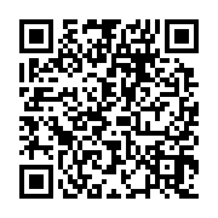 QR code for 1PAS100
