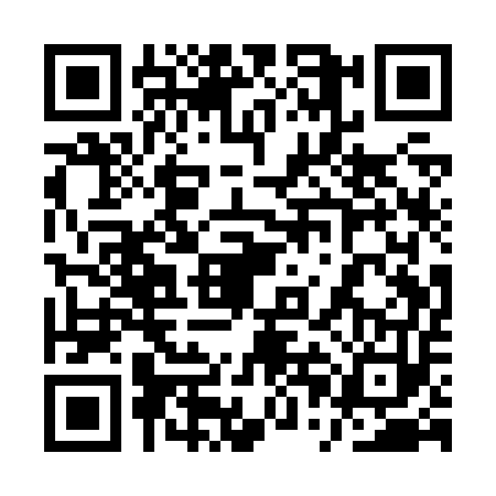 QR code for 1PAZ533