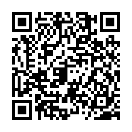 QR code for 1PIR378