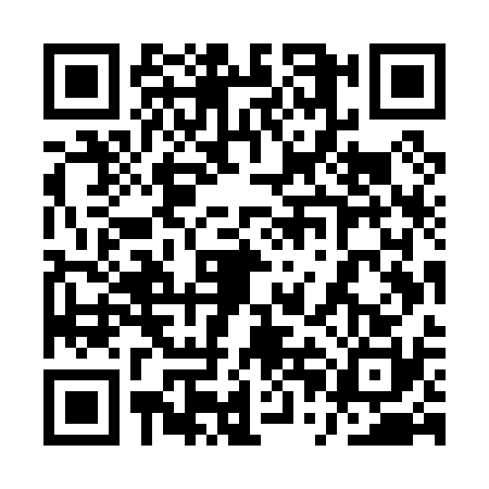 QR code for 1PMP307