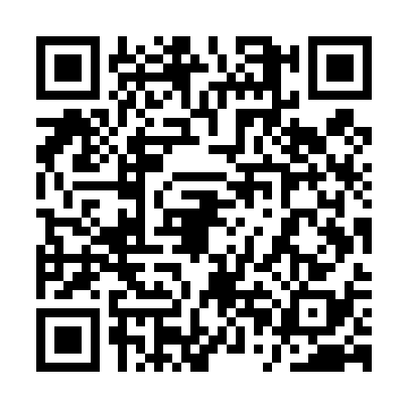 QR code for 1PMT384