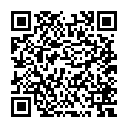 QR code for 1PPE493