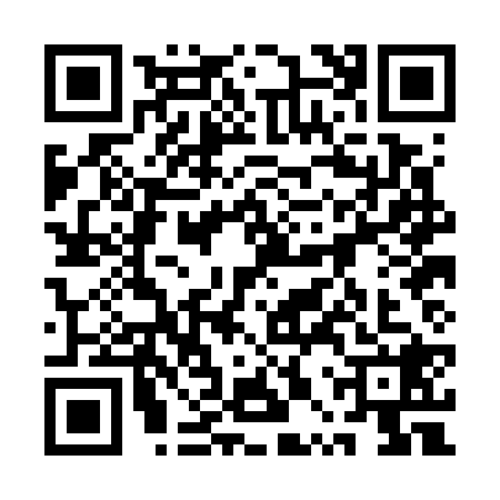 QR code for 1PPG287