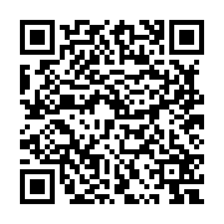 QR code for 1PPH266