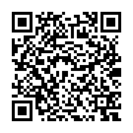 QR code for 1PPZ334
