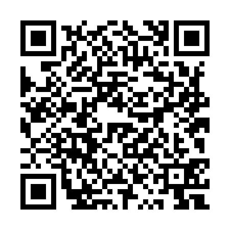 QR code for 1QLI313