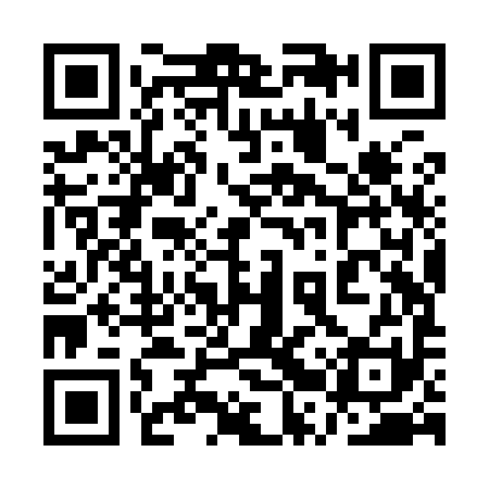 QR code for plate 1RZY 91