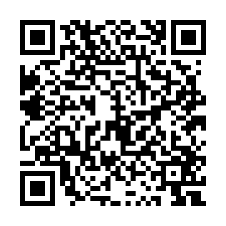 QR code for 1SAG462