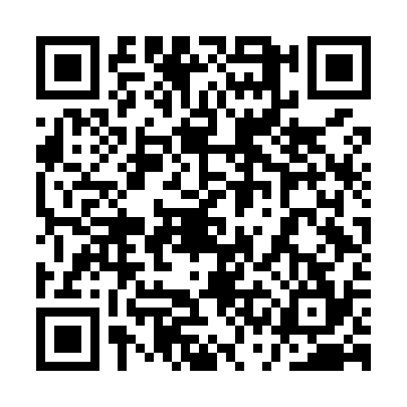 QR code for 1SFM343