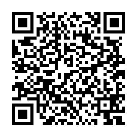 QR code for 1SPN993
