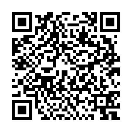 QR code for 1SQF313