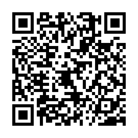 QR code for 1UDK395