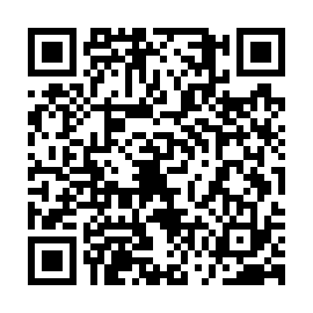 QR code for 1WMG339