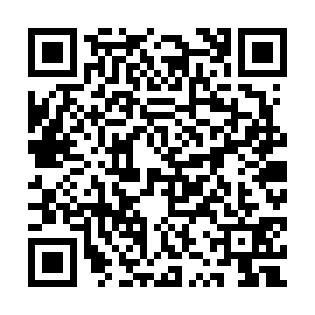 QR code for 1ZWV310