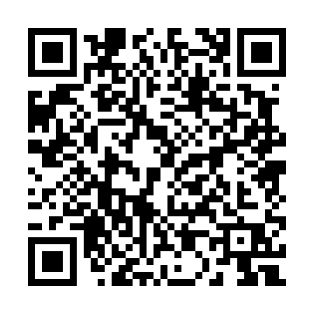 QR code for 20041P1