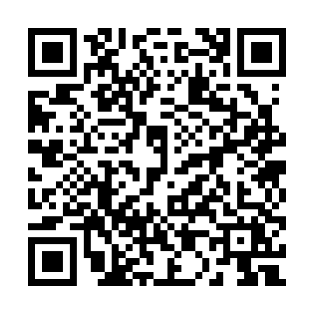 QR code for 20334X2