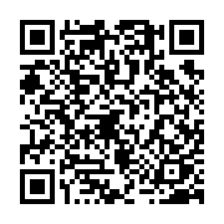 QR code for 21161P2