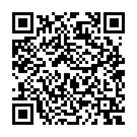 QR code for 23339P3