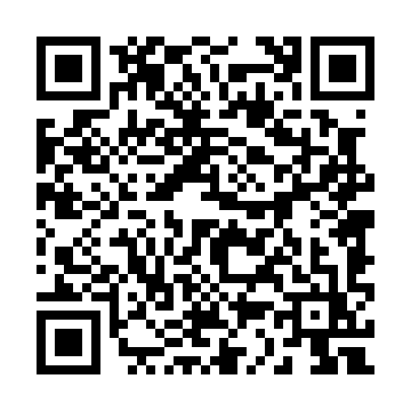 QR code for 23409Z1