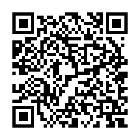 QR code for 28529T2