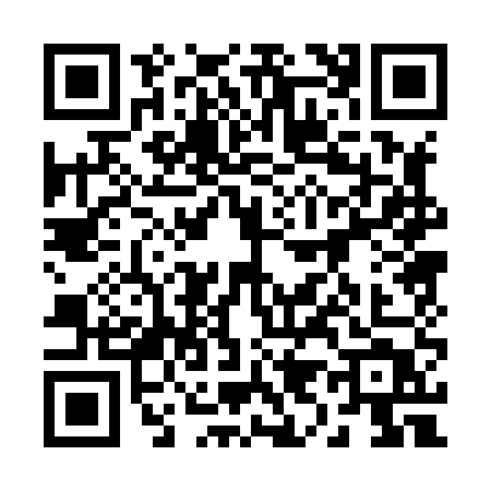 QR code for 29085T1