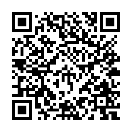 QR code for 291ZZ