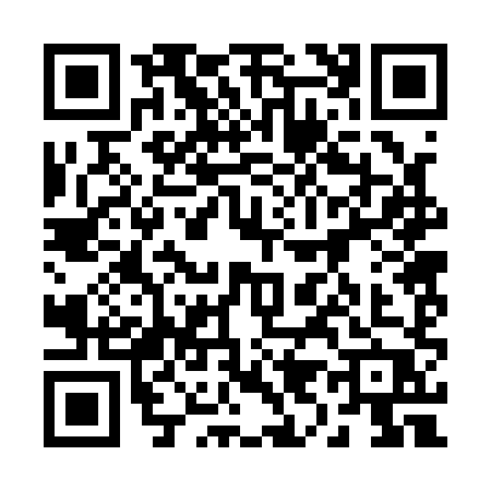 QR code for 29218P2
