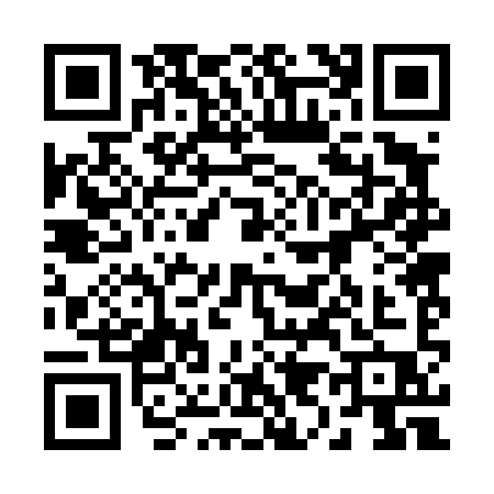 QR code for 29249P3