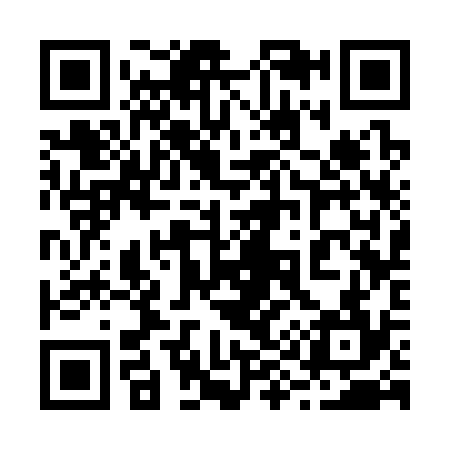 QR code for 293334