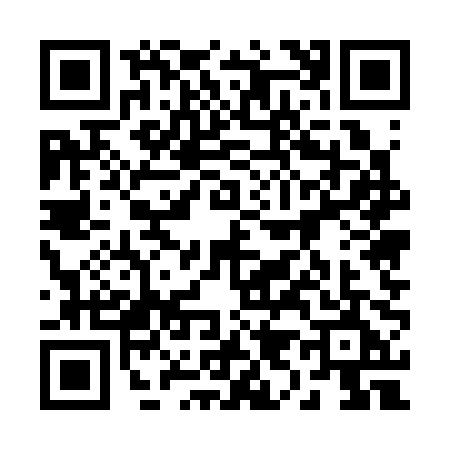 QR code for 29530E3