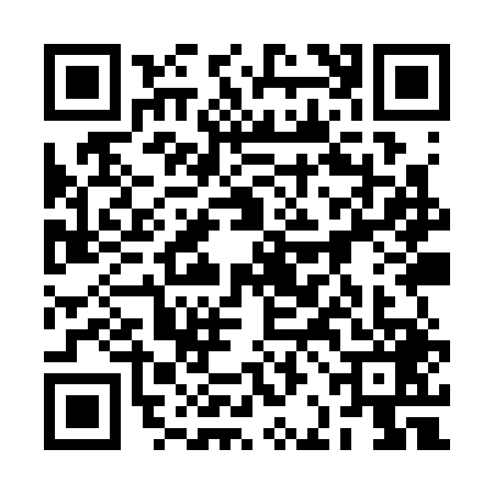 QR code for 2BIS491
