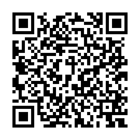 QR code for 2CAO417