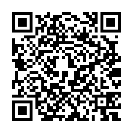 QR code for 2CGP382