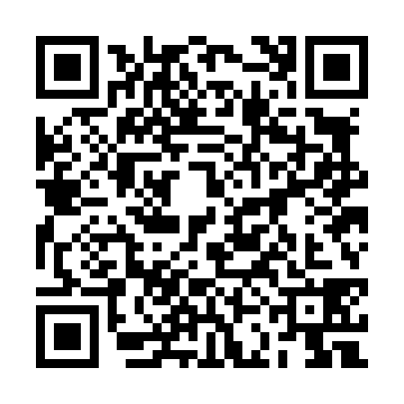 QR code for 2COL383