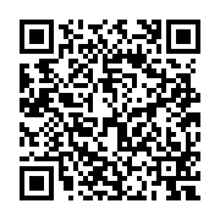 QR code for 2CSK938