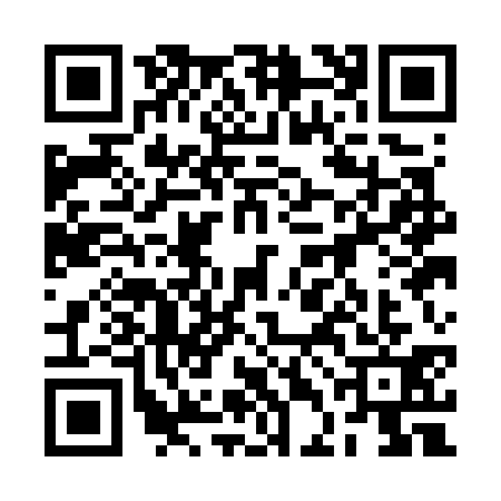 QR code for 2DAG318