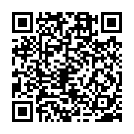 QR code for 2DAG389