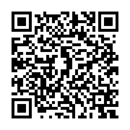QR code for 2DAG649