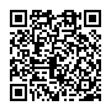 QR code for 2DAP306