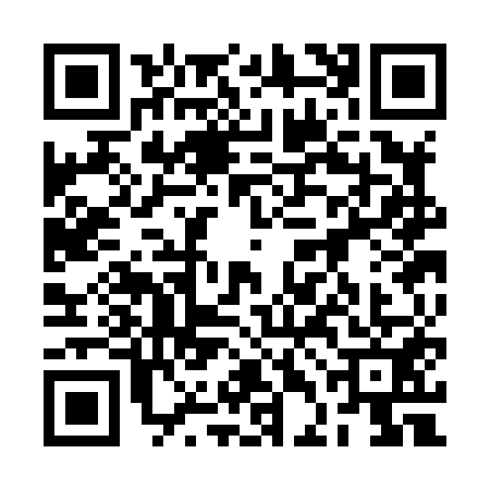 QR code for 2DCH513