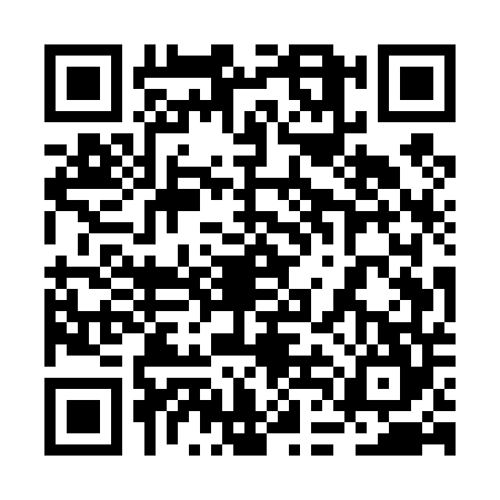 QR code for 2DET446
